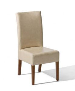 Jídelní židle Alexie