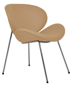 Čalouněná židle Lerin