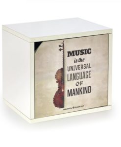 Dětský úložný box Findy 2