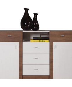 Kombinovaná komoda Shanell 1
