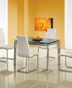 Skleněný stůl Torgio 2 - černý