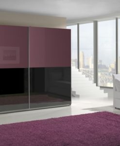 Dvoubarevná šatní skříň Darvin 11